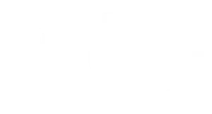NowTreat Logo White mode