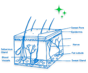 Skin wellness NowTreat Icon