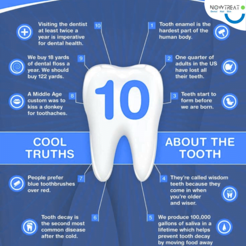 Facts About Tooth and Dental Care